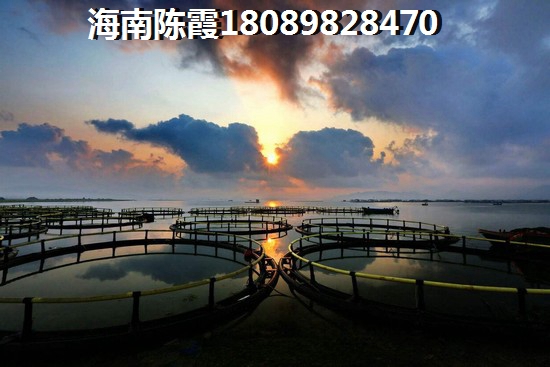 為什么要在五指山買房