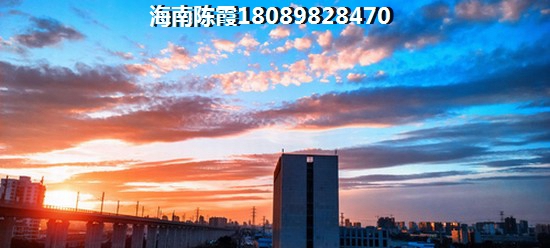 天域華府是否紙得買