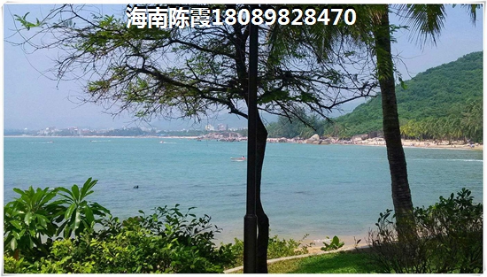 金色陽光VS龍棲灣波波利海岸分析對比