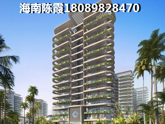 時(shí)尚椰樹(shù)門