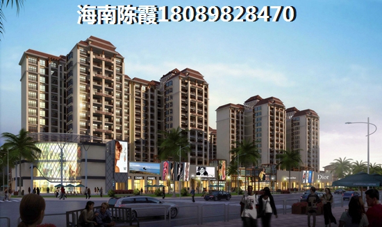 聯(lián)投海棠韻房價