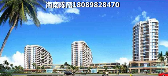 海南龍棲灣·新半島