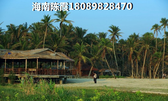 金海雅苑適合養(yǎng)老嗎？氣候潮濕嗎？