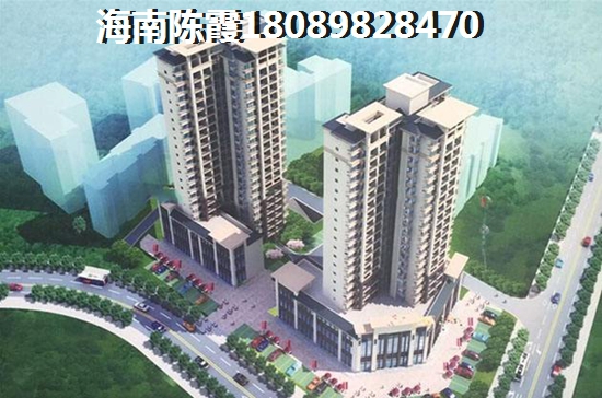 保利·六千樹火爆的原因是什么