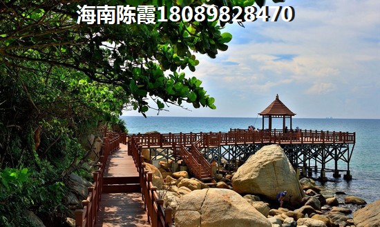 海棠花開生紙潛力