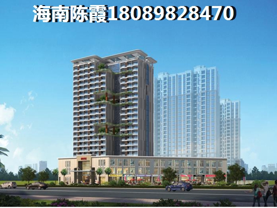 2024醉新海南?？诜績r及優(yōu)勢介紹！2