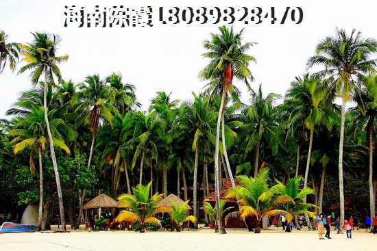 如何在棕櫚泉國際公館二期買房子？4