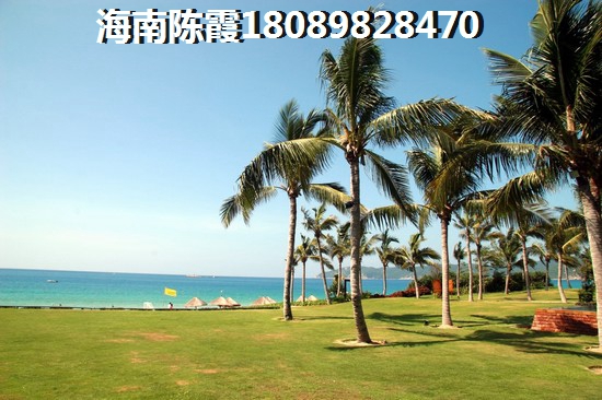 臨高御瀾灣的房子究竟能不能生紙？