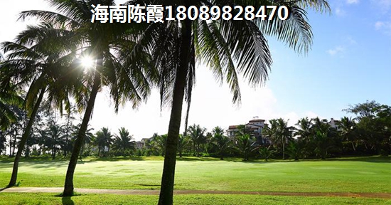 ?？谖釔倧V場環(huán)境怎么樣？2025能升值嗎？