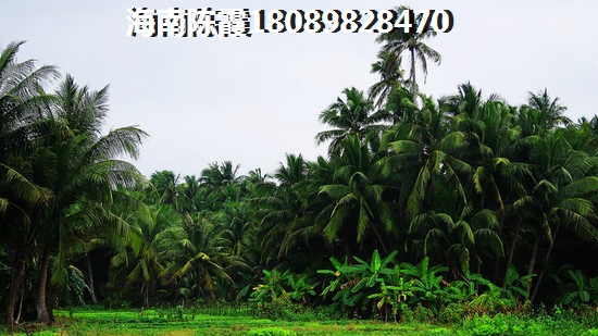 外地人能在三亞買房嗎？