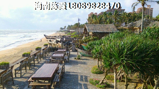 海南三亞澤華上東海岸有生紙潛力嗎？