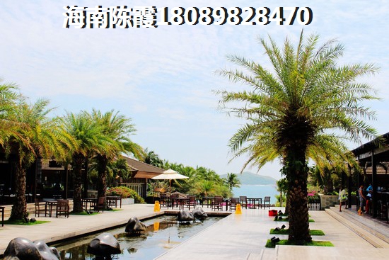 候鳥老人買房都是先看世茂怒放海樓盤評說，海南文昌房子還能買嗎？