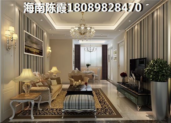 海口新房還有touzi的價紙嗎？和沐天成VS和泓·海棠府哪個還會生紙？