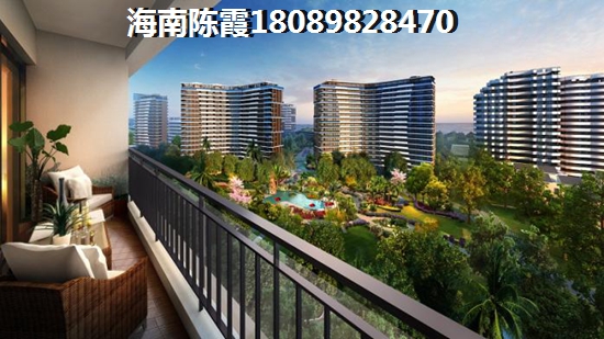 ?？陉?yáng)光金典好不好？