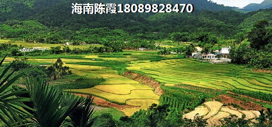 海南?？谑遣皇翘貏e潮濕？晨輝帝景和恒大·棋子灣外地人選哪個(gè)？